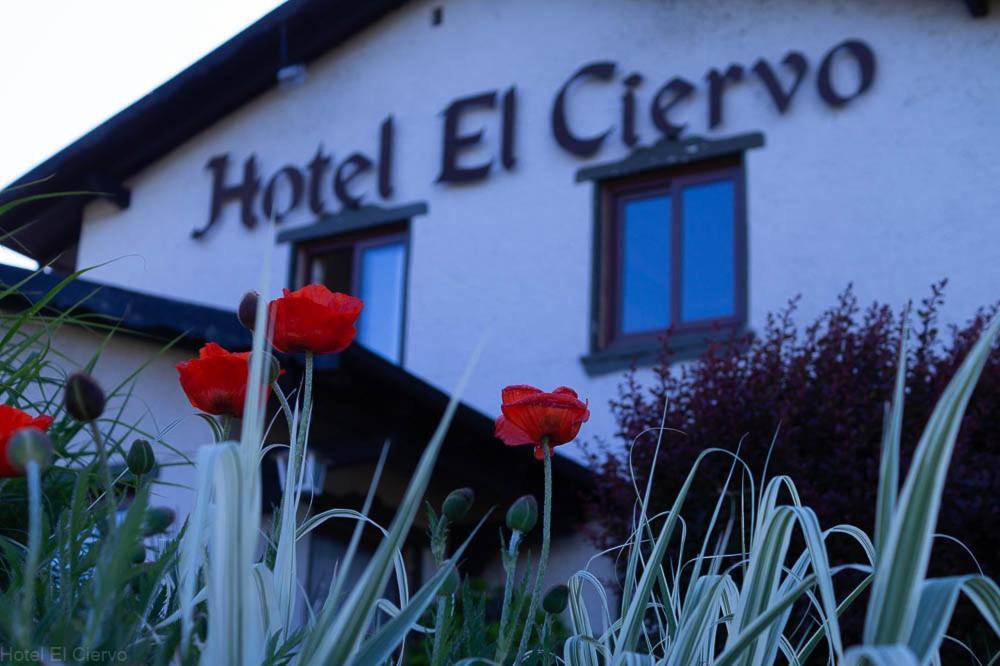 Hotel El Ciervo Villarrica Exteriér fotografie