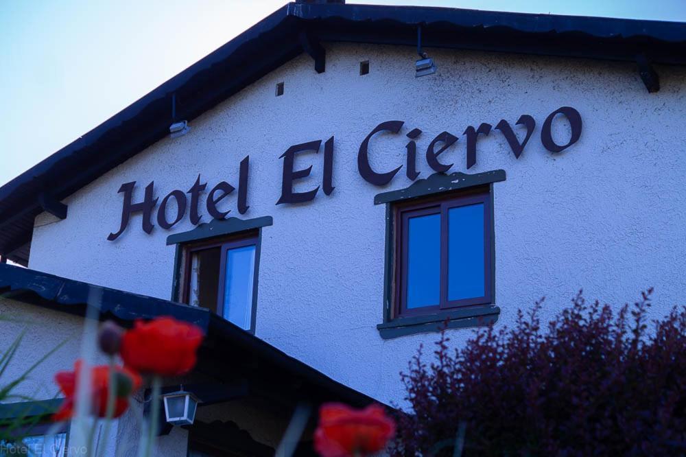 Hotel El Ciervo Villarrica Exteriér fotografie