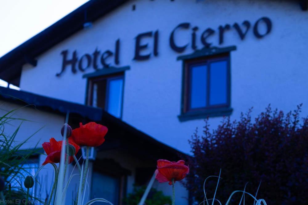 Hotel El Ciervo Villarrica Exteriér fotografie